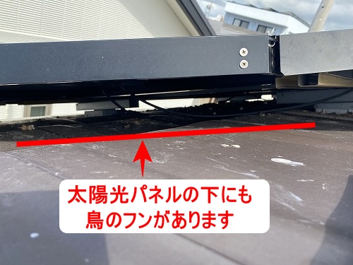 太陽光パネル　フン被害　鳥の巣